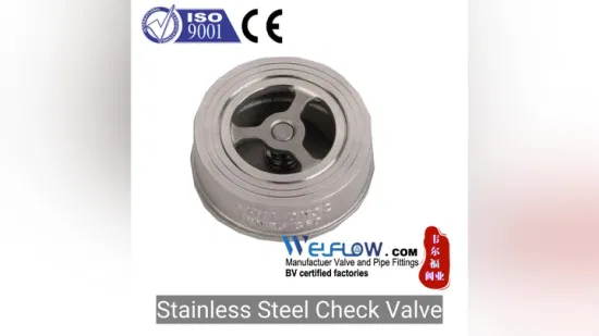 Xxnx SS304 201 Stainless Steel H71W DN65 Pn16 Pn25 3/8 DN15-DN100 Pn25 8 Inch Non Return One Way Disc Wafer Single Plate Flange Spring Check Valve